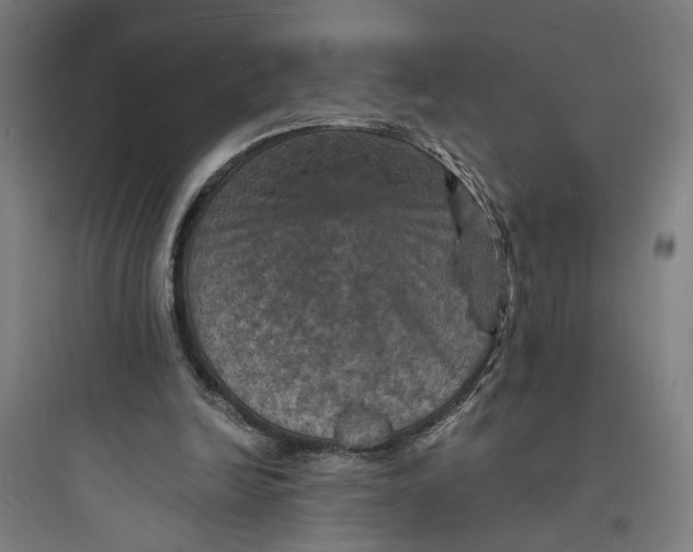 X0000093730246200711061007