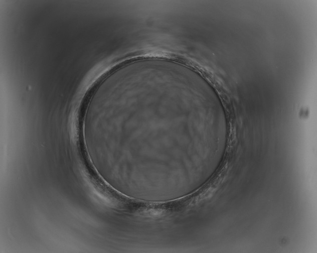 X0000093730247200711061007