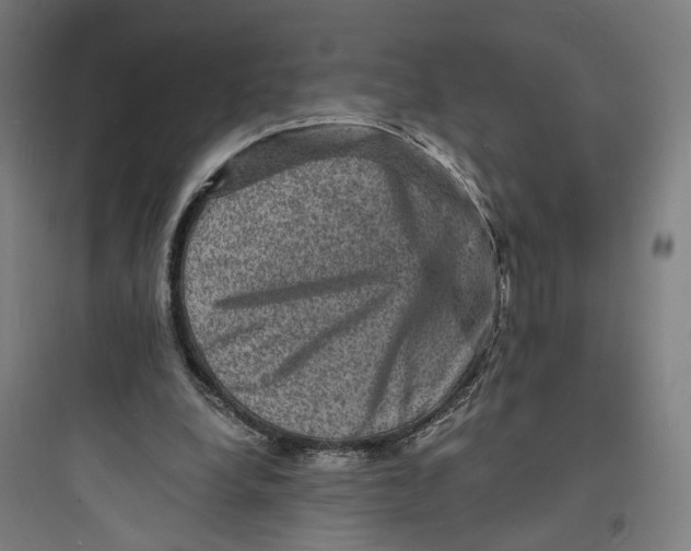 X0000093730248200711061007