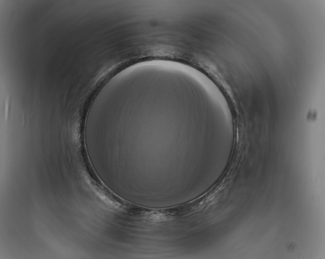 X0000093730249200711061007