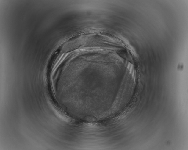 X0000093730250200711061007