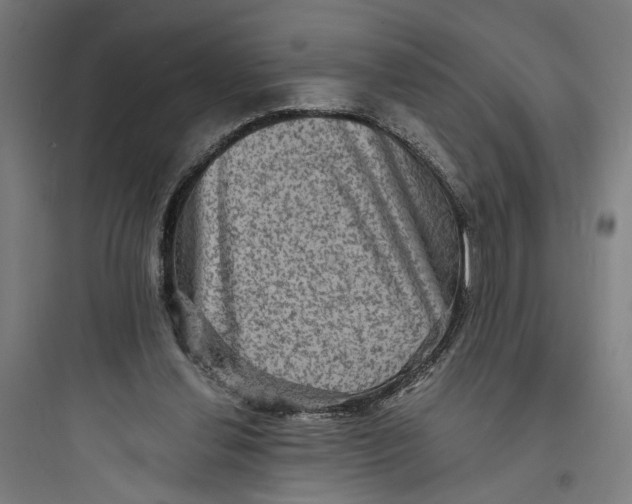 X0000093730252200711061007