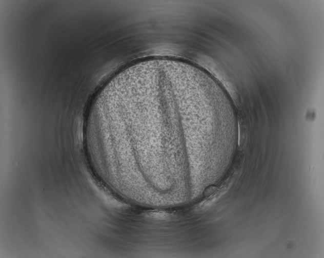 X0000093730253200711061007