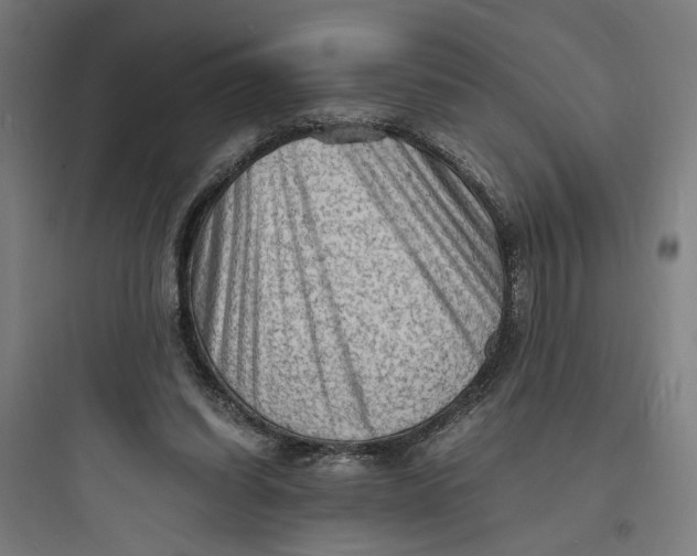 X0000093730254200711061007