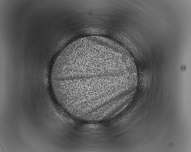 X0000093730255200711061007