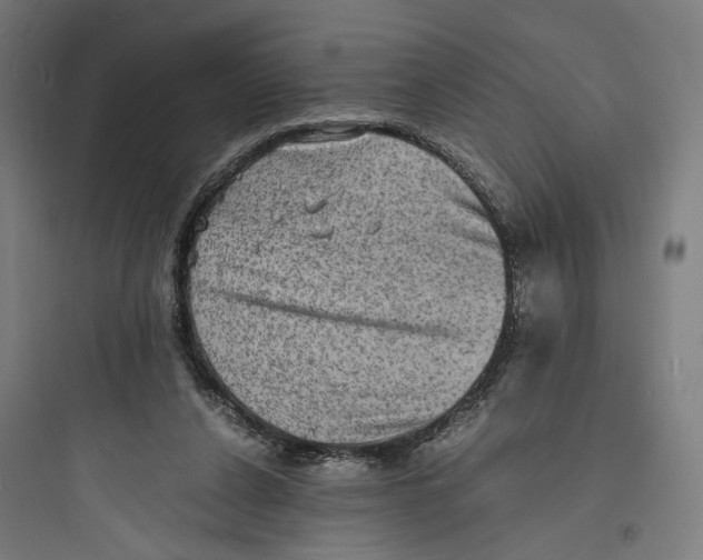 X0000093730256200711061007