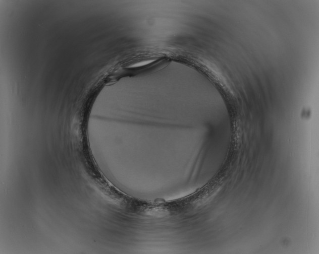 X0000093730258200711061007