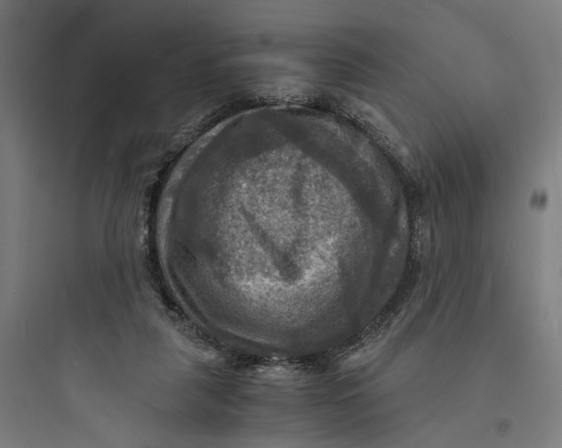 X0000093730259200711061007