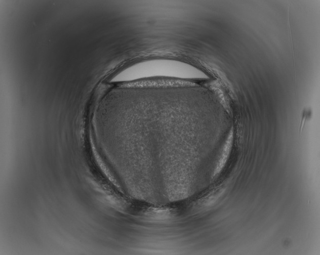 X0000093730260200711061007