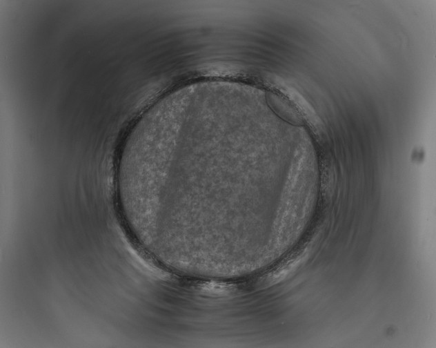 X0000093730261200711061007