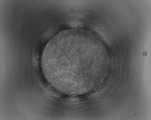 X0000093730263200711061007