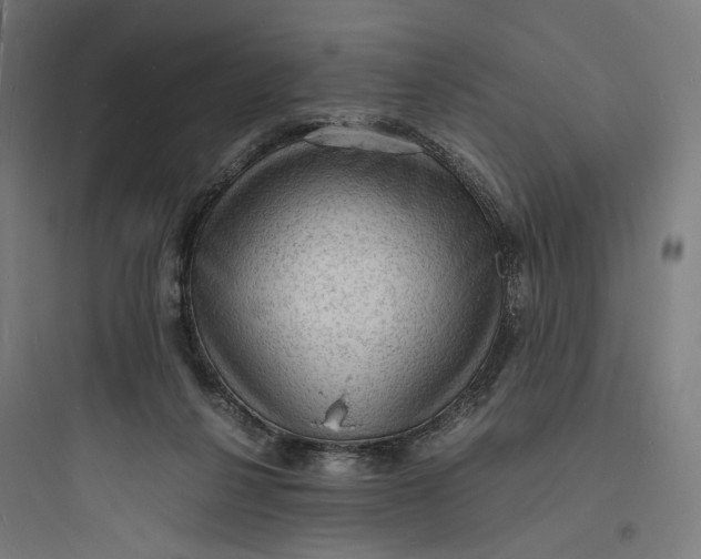 X0000093730264200711061007