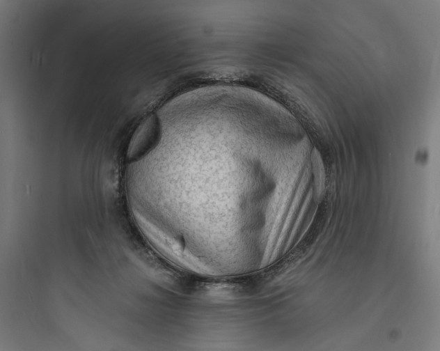 X0000093730268200711061007