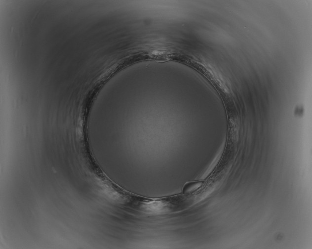 X0000093730269200711061007