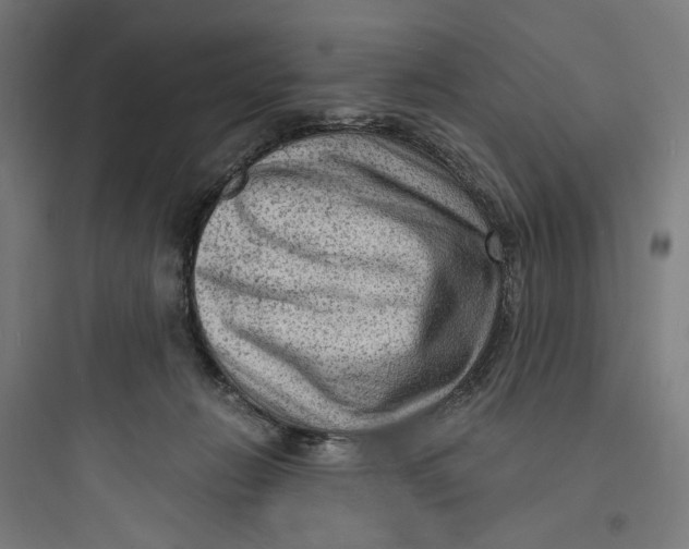 X0000093730270200711061007