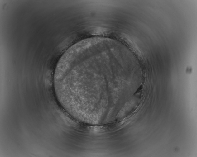 X0000093730273200711061007