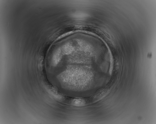 X0000093730275200711061007