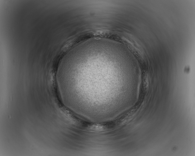 X0000093730276200711061007