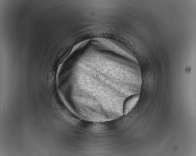 X0000093730278200711061007