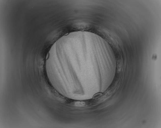 X0000093730279200711061007