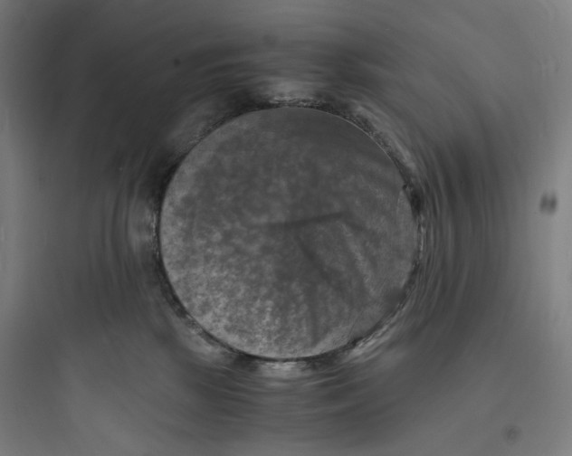 X0000093730281200711061008