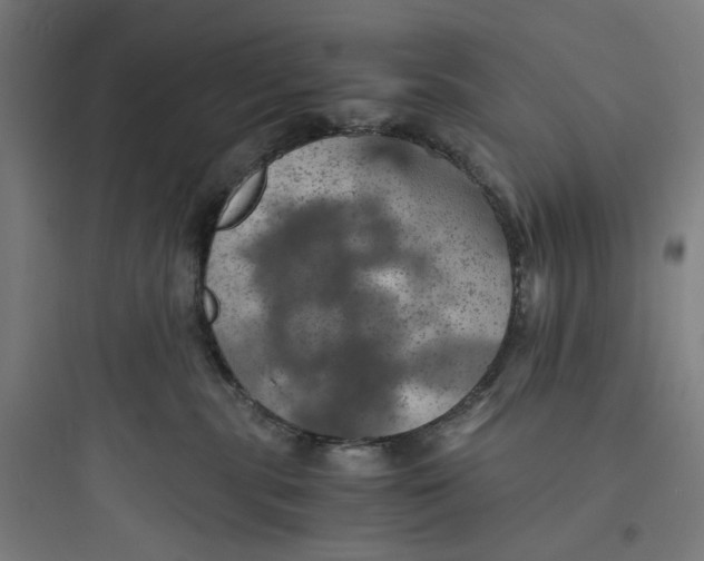 X0000093730283200711061008