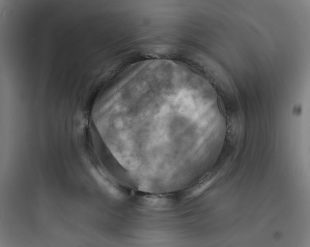 X0000093730284200711061008