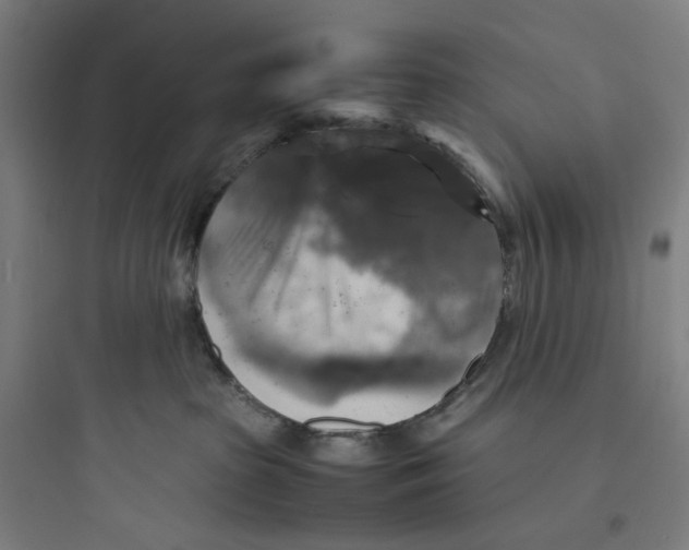 X0000093730285200711061008