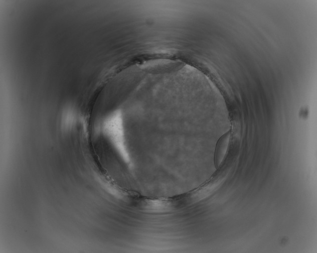 X0000093730286200711061008