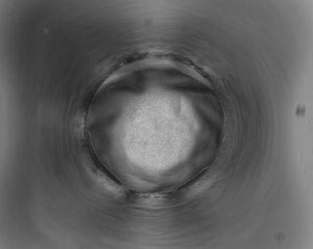 X0000093730288200711061008