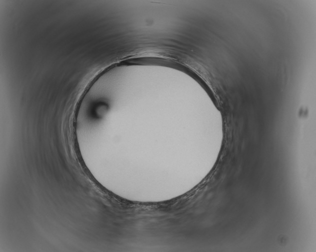 X0000093730289200711061007