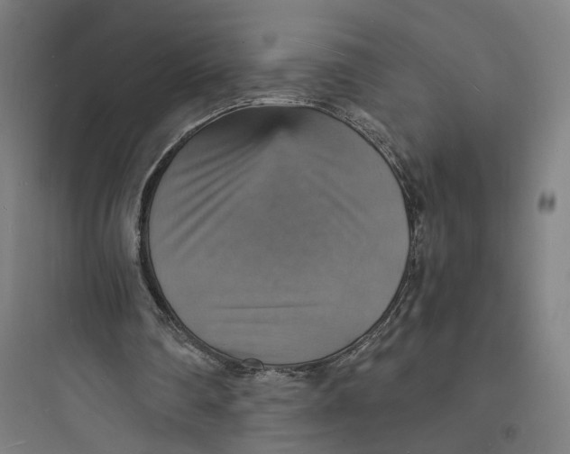 X0000093730290200711061007