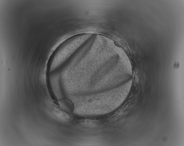 X0000093730292200711061007