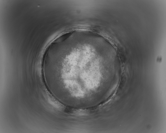 X0000093730293200711061007