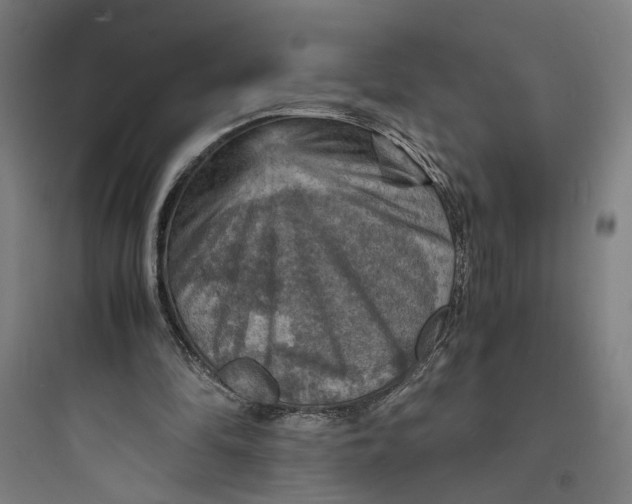 X0000093730294200711061007