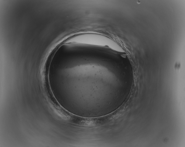 X0000093730295200711061007