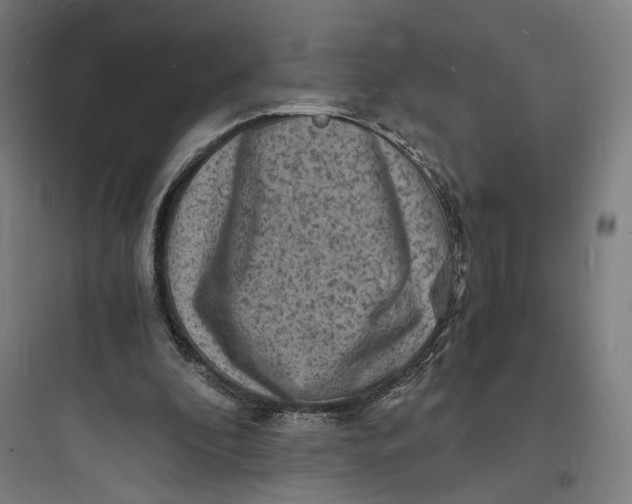 X0000093730296200711061007