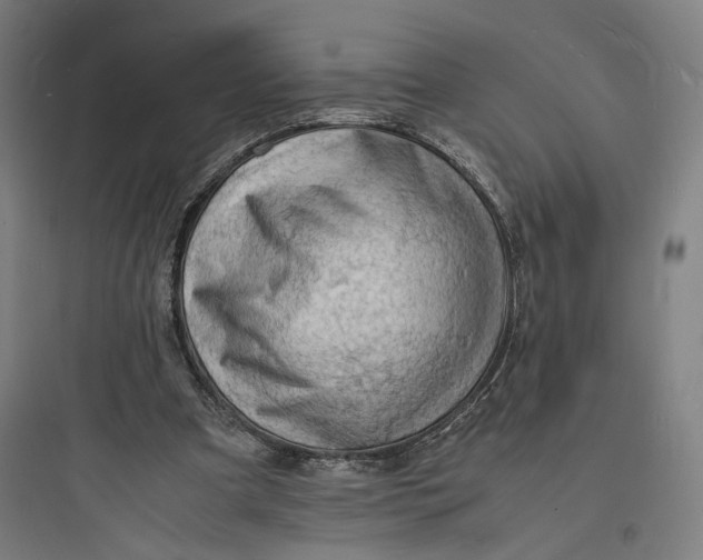 X0000093730297200711061007