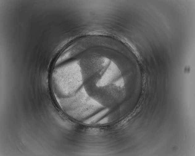 X0000093730298200711061007