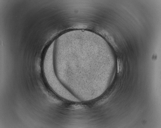 X0000093730300200711061007