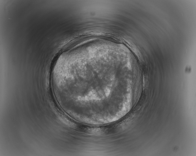 X0000093730301200711061007