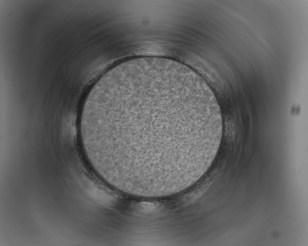 X0000093730302200711061007