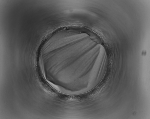 X0000093730303200711061007