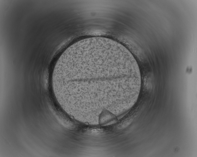 X0000093730304200711061007