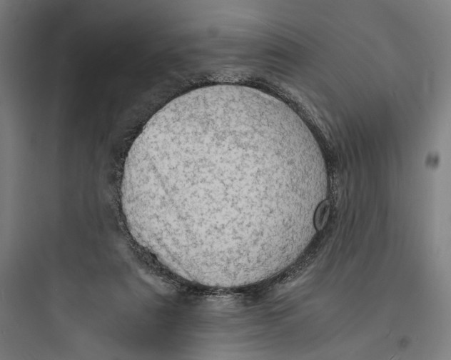 X0000093730307200711061007