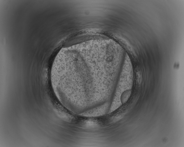 X0000093730308200711061007