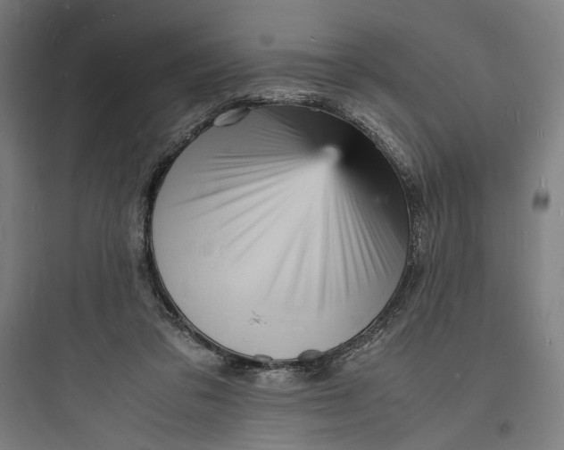 X0000093730309200711061007