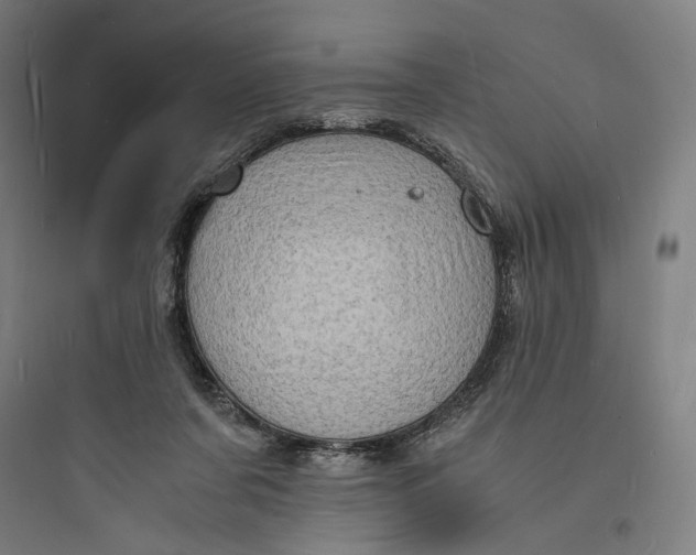 X0000093730311200711061007