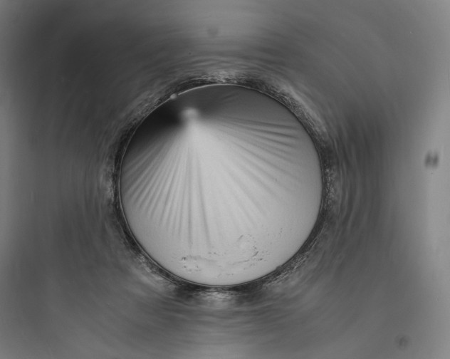 X0000093730313200711061007