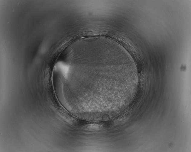 X0000093730314200711061007